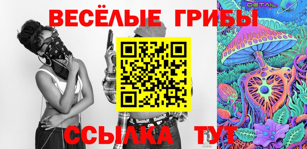 Псилоцибиновые грибы Cubensis Ижевск