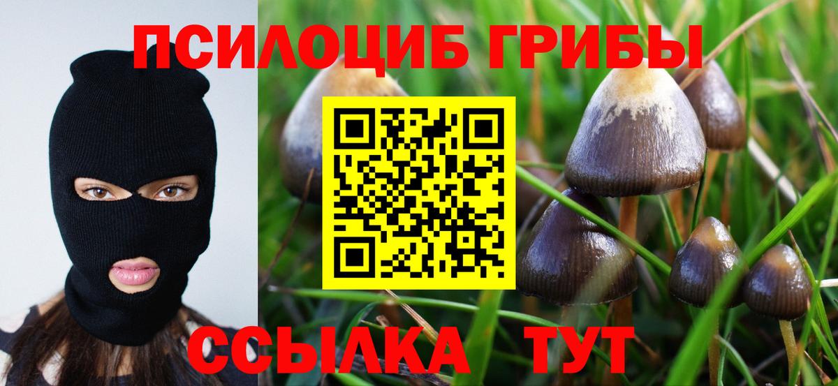 Ижевск  Галлюциногенные грибы GOLDEN TEACHER  Вход с VPN 